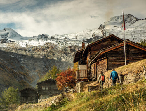 Une plus grande portée, la même proximité : e-domizil au sein du nouvel écosystème de locations de vacances